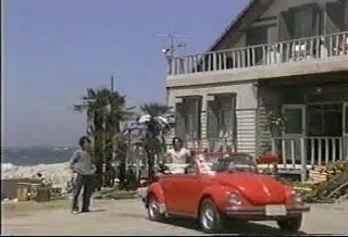 ビーチボーイズ