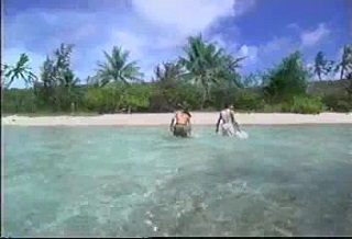 ビーチボーイズ