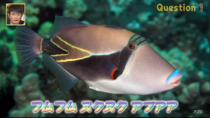 フムフムヌクヌクアプアア