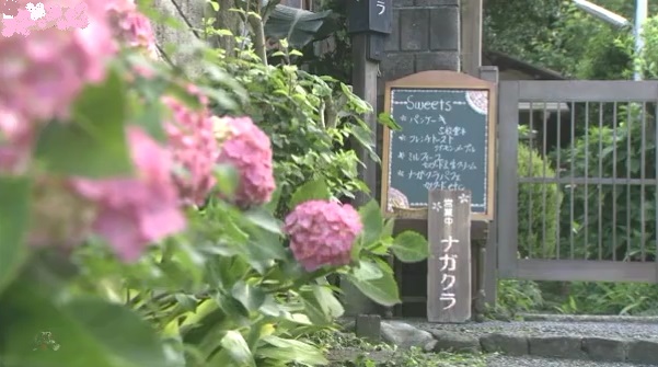 最後から二番目の恋