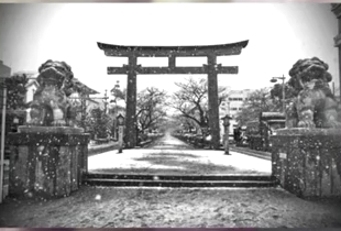 最後から二番目の恋