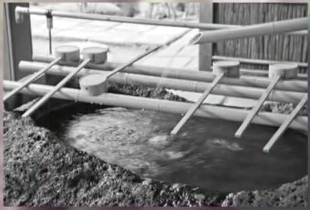 続・最後から二番目の恋